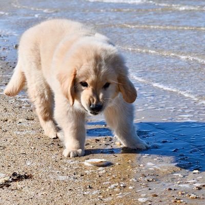 flowbe4's profile picture. 프론트엔드/ 데이터분석에 관심있는 
주니어 PO 🦙