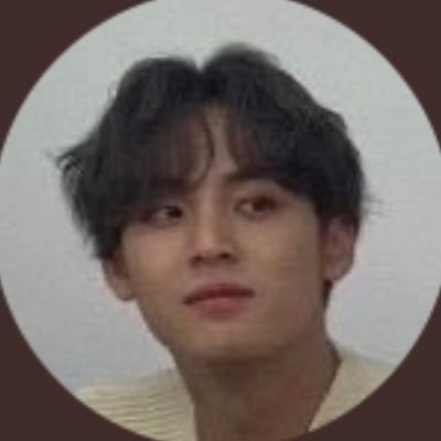hanbin, moonbin, seokjin, and jeonghan loml. she/her. multi. 19.