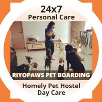 Riyopaws Pet Care - Pune(@PunePet) 's Twitter Profile Photo