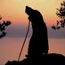 Wisdom of the Holy Fathers (@orthodoxwords) Twitter profile photo Wisdom of the Holy Fathers (@orthodoxwords) Twitter profile photo