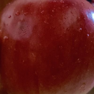 底辺うんこさんのプロフィール画像