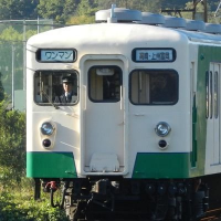 とらしぐ (@trsg_main) 's Twitter Profile