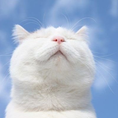 Baifernmj's profile picture. Edu.biology