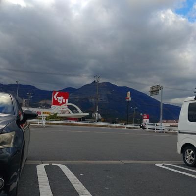 syogo11's profile picture. 