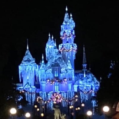 Love Disneyland!