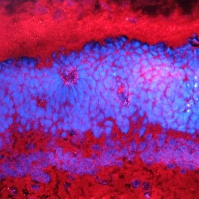 @Vasudharani Devanathan-Neuronal Metabolism Lab Profile