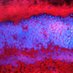 @Vasudharani Devanathan-Neuronal Metabolism Lab (@labvasudha) Twitter profile photo @Vasudharani Devanathan-Neuronal Metabolism Lab (@labvasudha) Twitter profile photo