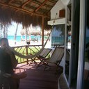 troy lively - @troylively - Twitter