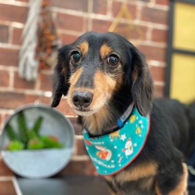 morimori_hf8h0u's profile picture. IT企業にいる情シス｜now←1人情シス←派遣クラウドエンジニア←SES｜azureAD/intune/google workspace/GAS/python｜FE/普通自動二輪/発言は個人のやつ/ISFP-T