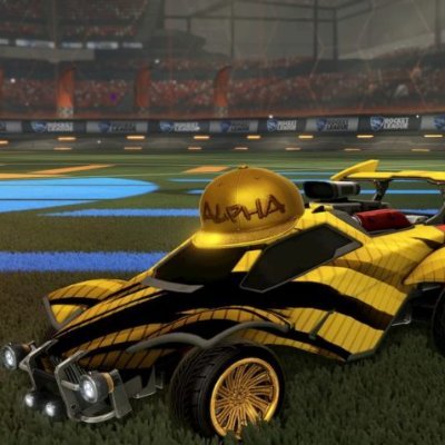 former rocket league trader with gold rush until rocket league decided to be fucking stupid and then i sold that shit tik tok bbq.rl twitch bbqrll