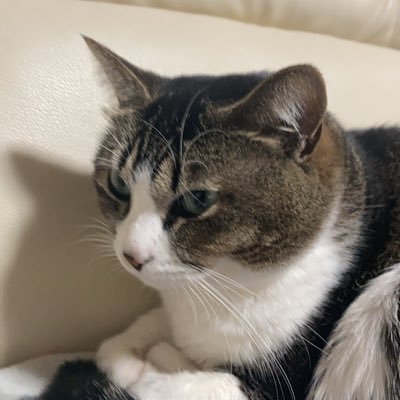 S3Plasma's profile picture. 