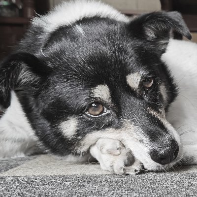 まきしまこういちさんのプロフィール画像