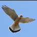 John H (@johnh37528380) Twitter profile photo
