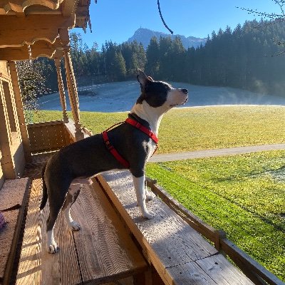 sss_kulaksz29's profile picture. Türk