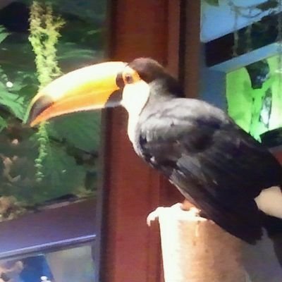sakuichiさんのプロフィール画像