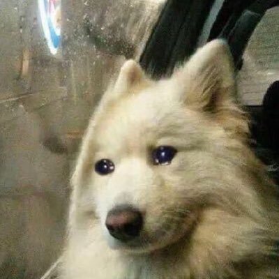 Nnuttaaaaaa's profile picture. 