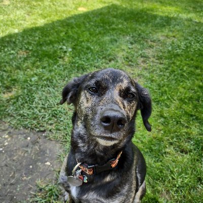 ❤️My wife ❤️ My https://t.co/3qtAuIkuis racing and Motorsports https://t.co/ROea1AVDb3 Packers Bucks Brewers and https://t.co/47mwlxcw6v Blue.