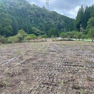 福井県と京都府の境に有る オートキャンプ場です⛺️ 山に囲まれ、綺麗な星空 初夏には、ホタルも舞います🌟 予約も要らず、好きな時に 出入り出来る、会員制❗️ 楽天キャンプさんTAKIBIさん からビジター予約も出来ます🏕️ メッセージをお待ちしています🪵