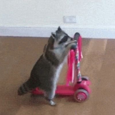 raccoonccereal's profile picture. zz