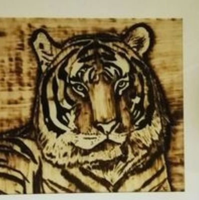 Pyrography Artist, Natur, Wolfhunde