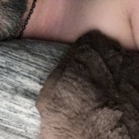 steven klein (@mlot2020) 's Twitter Profile