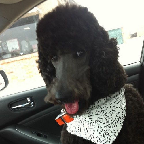 Laura_L_Byrd's profile picture. corporate controller for multiple tv stations in oklahoma and texas