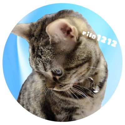rila1212's profile picture. スポーツ観戦大好きです『まるごみ』というボランティアにも参加していました。音楽も色々聞きます！新垣さん、小出さん大ファンです。アーティストは安室さん、B'z、GRANRODEO、MATSURI大ファンです。犬猫大好きです！ ずっと一緒の大親友→ @yucocogenkota