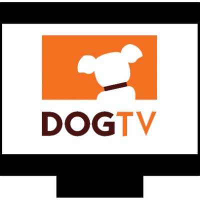 TV Shows Designed for Dogs