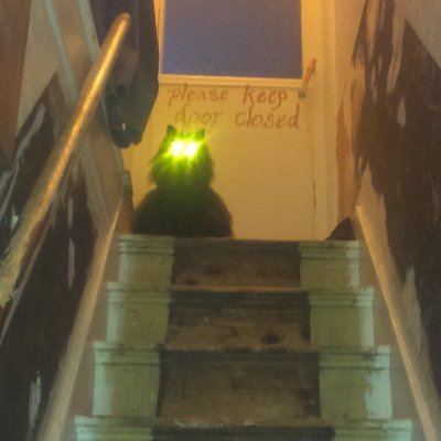 ironmaidyn's profile picture. mum of two