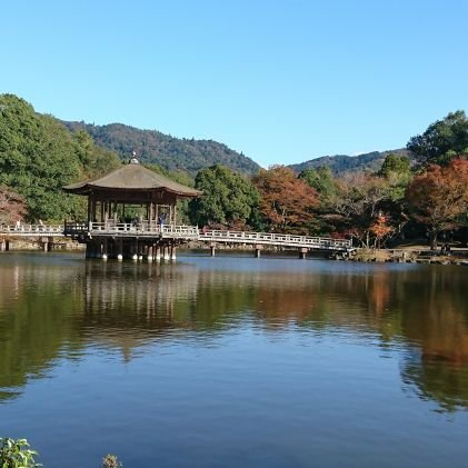 gakky1985's profile picture. 気ままに生きていたい
ダリに歌で助けられた男！