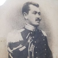 Lindo Zarelli (@lindozarelli) 's Twitter Profile