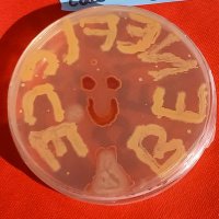 BENEFICCE EU-H2020 project (@beneficce) 's Twitter Profile Photo BENEFICCE EU-H2020 project (@beneficce) 's Twitter Profile Photo