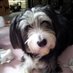 Sharon O'Neill (@sharono35736221) Twitter profile photo Sharon O'Neill (@sharono35736221) Twitter profile photo