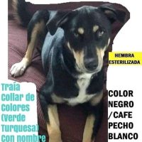 Nery López De Summerville (@nery_lopez_de_s) 's Twitter Profile