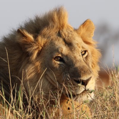 heavybfree's profile picture. 