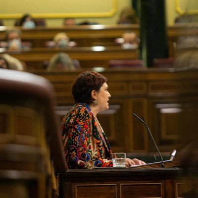 Secretaria de Industria, Comercio y Turismo del @psoe Diputada Congreso por Alicante.