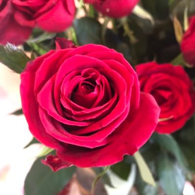 aobanbiさんのプロフィール画像