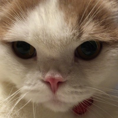 ginga7479's profile picture. ホンダビートで遊んでます。映画大好き。