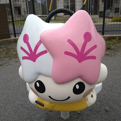 bothsideattack's profile picture. I like horse racing and football.
Horse racing and football in the continent except Antarctica. we can.
Horse racing and football has spread on the earth.