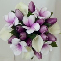 د. ثنوى العمري (@dr_thanwa) 's Twitter Profile Photo د. ثنوى العمري (@dr_thanwa) 's Twitter Profile Photo