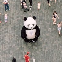 Codepanda89's profile picture. 