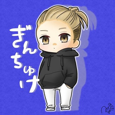 ぎんちゅけ。さんのプロフィール画像