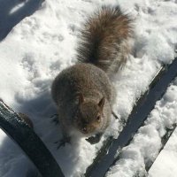 Michael Kealy (@michaelkealy1) 's Twitter Profile