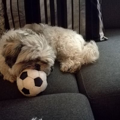 Micha51591945's profile picture. 