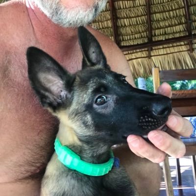 truthbarbarian's profile picture. 