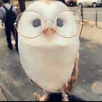 ZeeKwat (@zeekwat23) 's Twitter Profile Photo ZeeKwat (@zeekwat23) 's Twitter Profile Photo