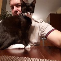 Artur Maksymowicz (@arturmaksymowi3) 's Twitter Profile