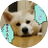 ぴろりろりん♫のアイコン