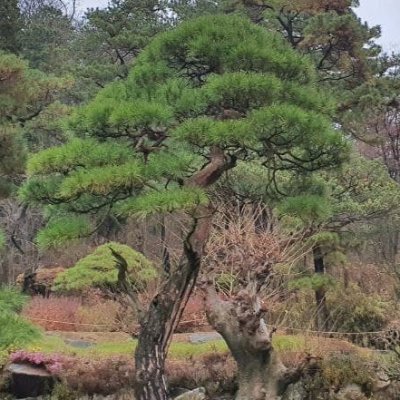 tasmo999's profile picture. h