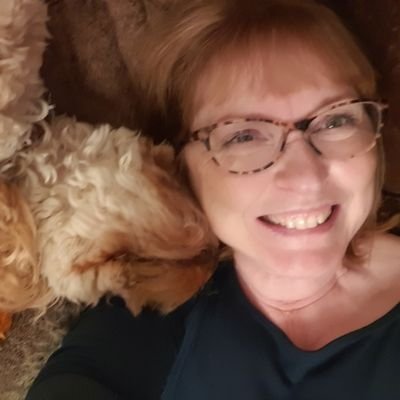 Senior Intervention Learning and Progress Assistant at HGSA